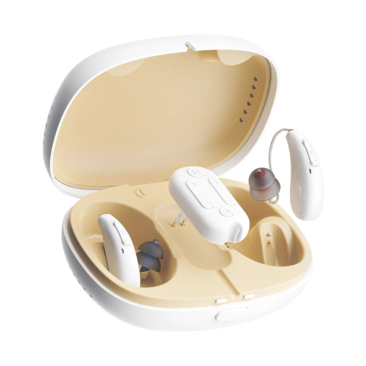 H6 PureHear AI RIC Hearing Aids