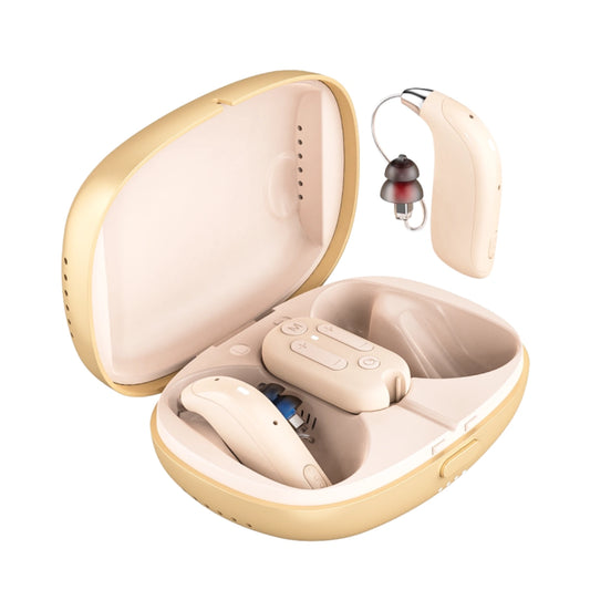 H8 PureHear Pro AI RIC Hearing Aids