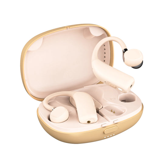 H9 Nature Pro AI BTE Hearing Aids
