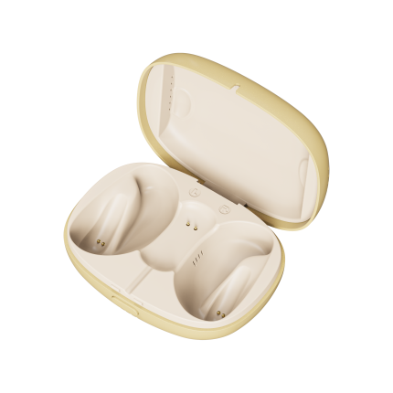 Charging & Drying Case - All-in-One Case for Hearing Aids
